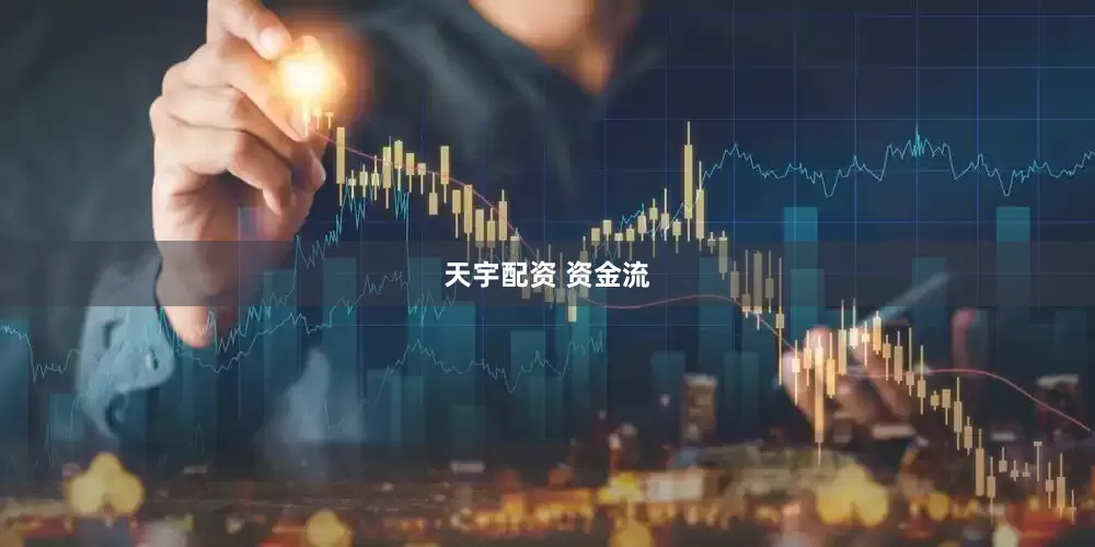 天宇配资 资金流
