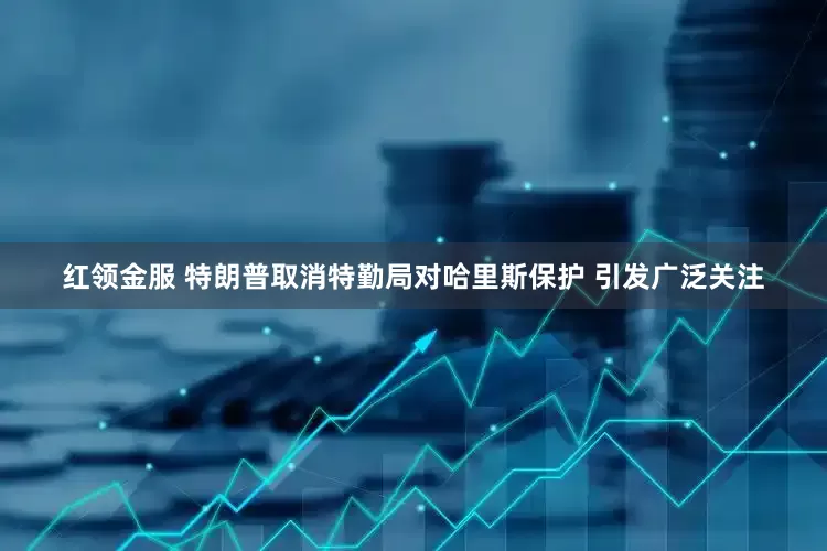 红领金服 特朗普取消特勤局对哈里斯保护 引发广泛关注